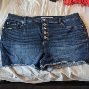 Torrid high-rise shortie jean short